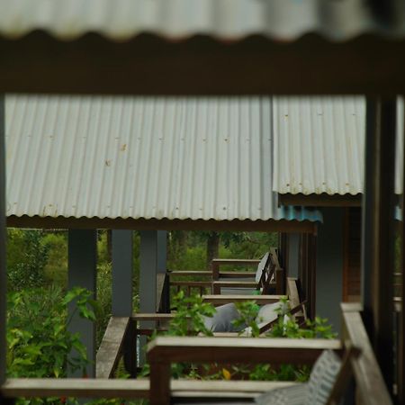 The Geckos Homestay Келимуту Номер фото