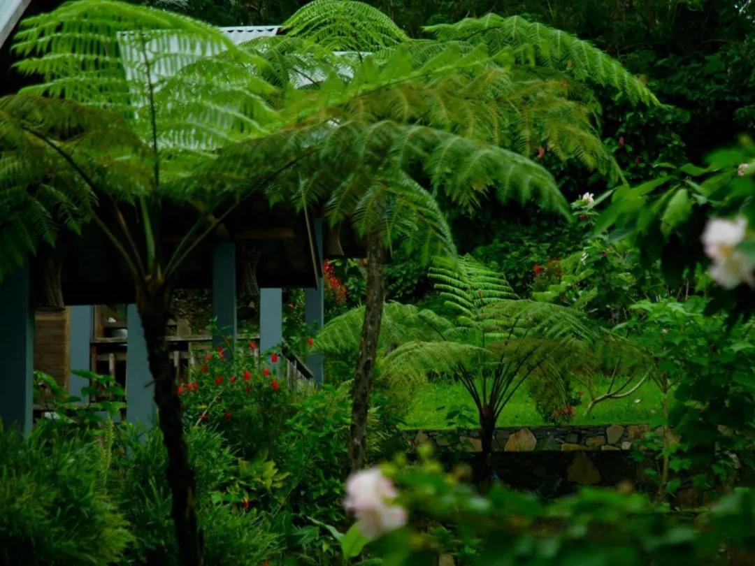 The Geckos Homestay Келимуту Экстерьер фото