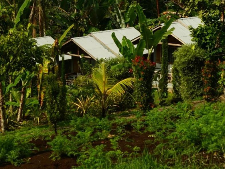 The Geckos Homestay Келимуту Номер фото
